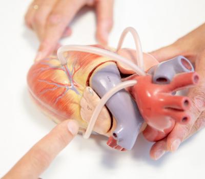 Diagnose - Kardiologische Gemeinschaftspraxis